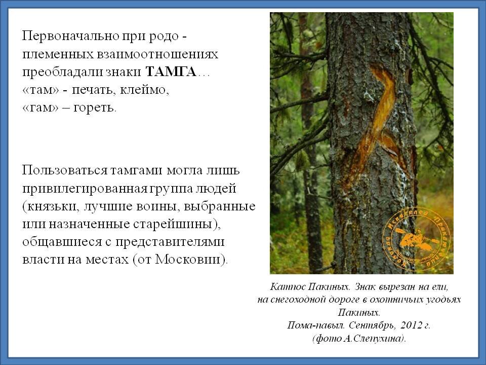 Рисунок выполнен автором статьи по материалам с сайта «adventurteam.ru» Информация с сайта «adventurteam.ru"
