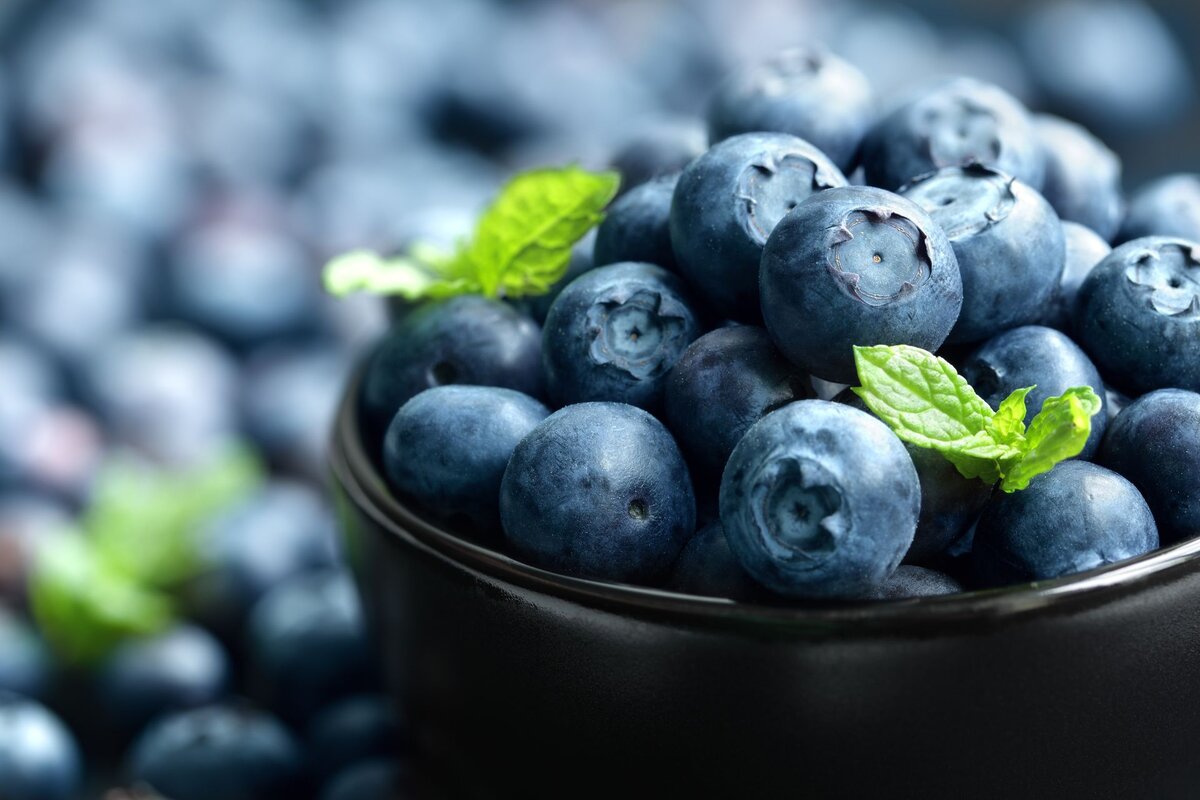 Фото с https://elements.envato.com/
