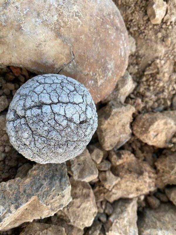 Источник фото: vk.com/mius_front