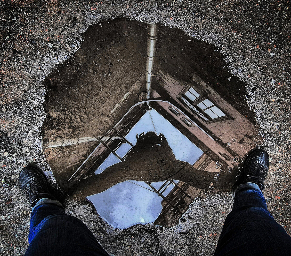 Фото Наталии Трубицыной (с).