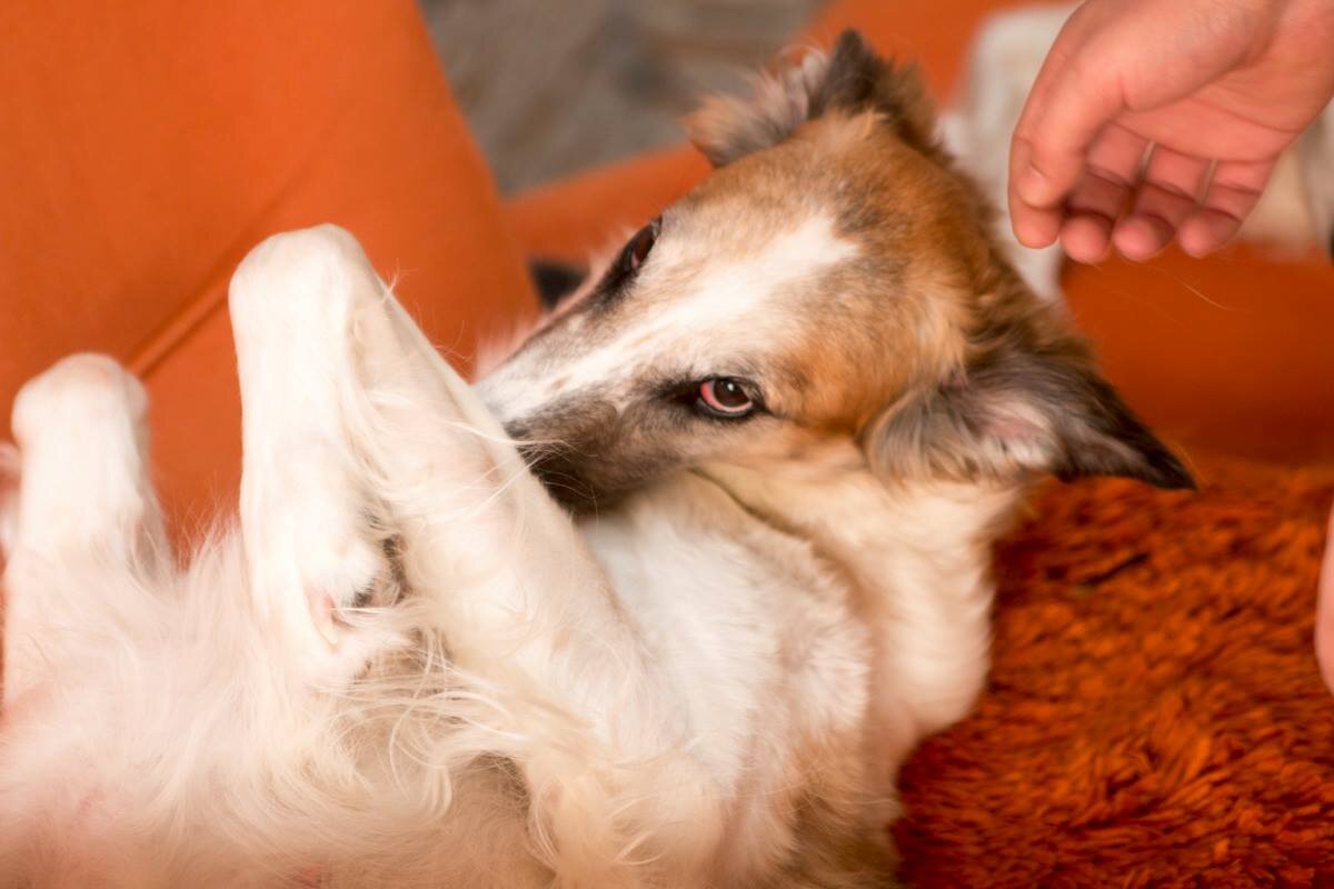 Злата: ой, ну заждалась...