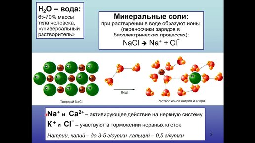 Дубынин В. А. - Химия мозга - Нейроны: химическая и клеточная организация