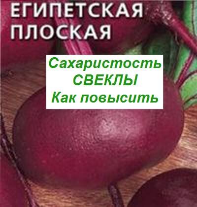 сахаристость свеклы