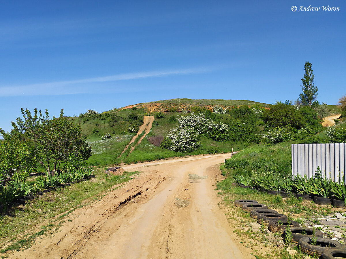 Сельская улица поселка Реконструктор