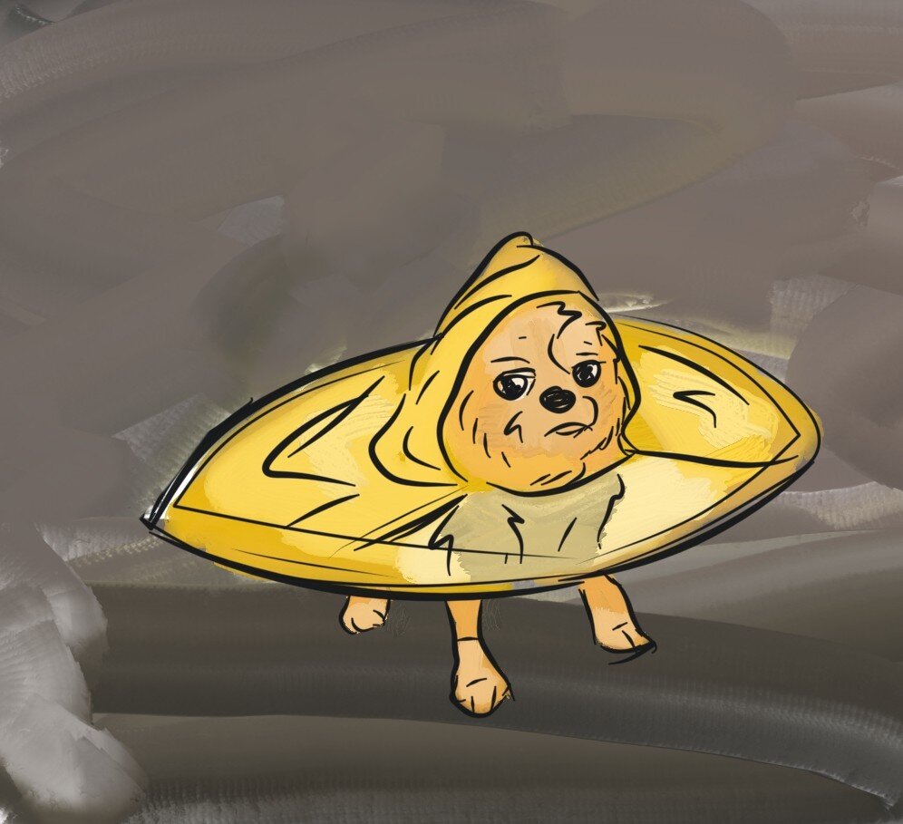 -2