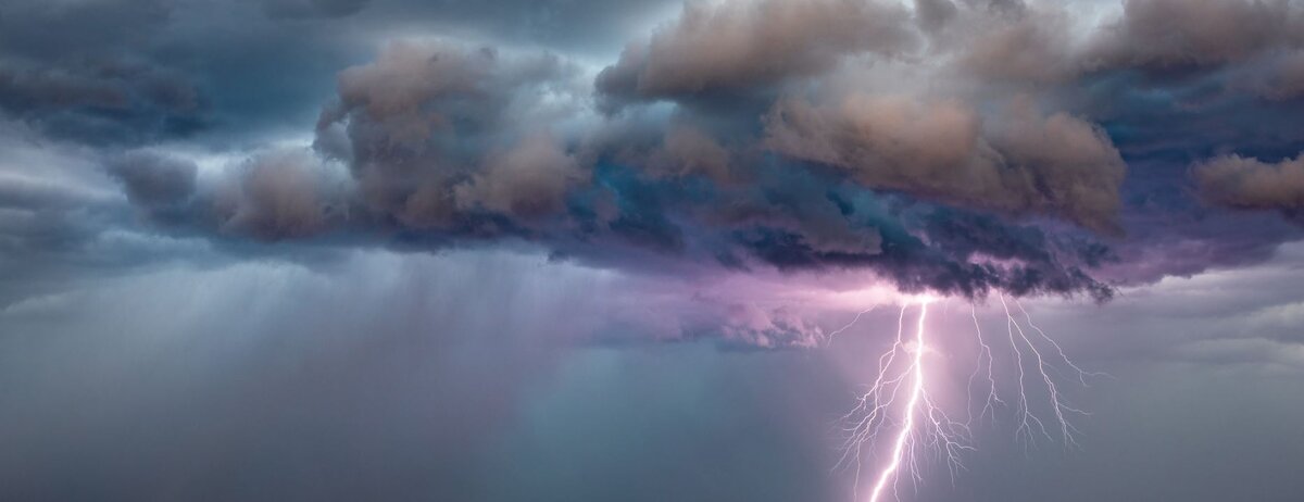 Фото: Istock