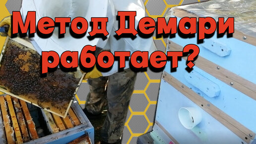 Демари пчеловодство