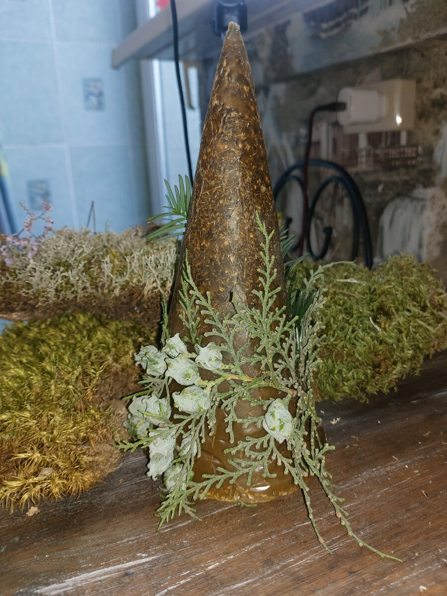 Ведьмина свеча