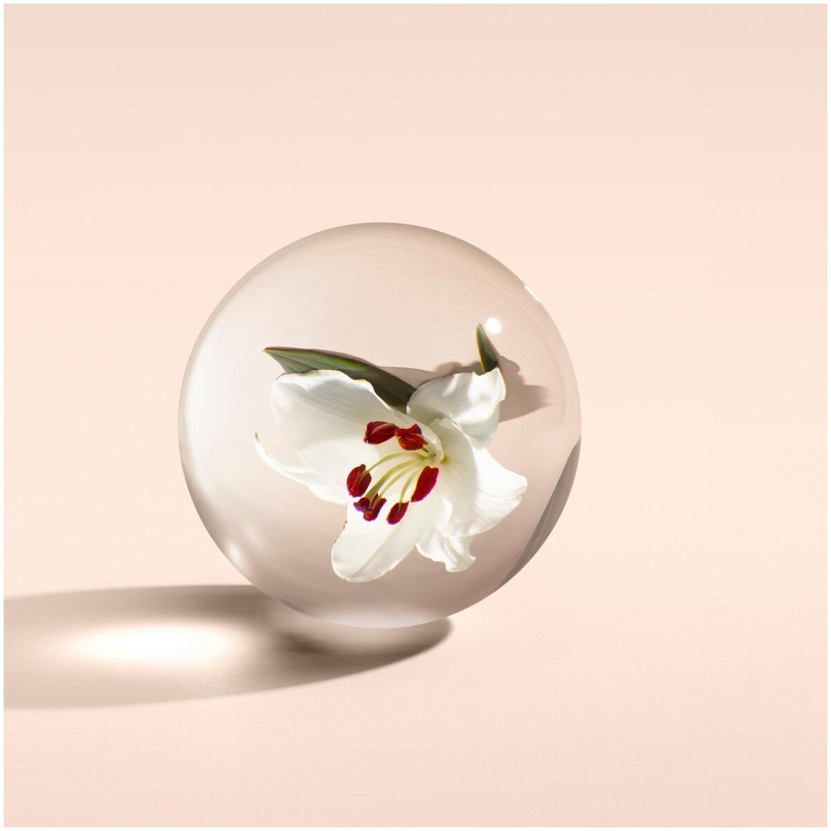 Фотография взята с просторов интернета.