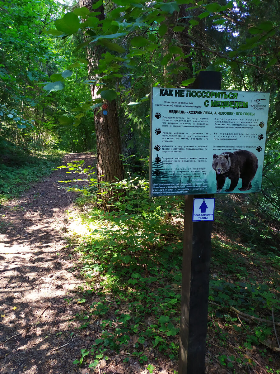 Начало тропы.