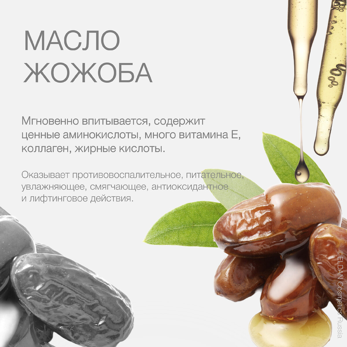 Список продуктов для поста перед пасхой. Растительные масла в составе косметических средств классификация. Календарь великово поста. Продукты к посту список продуктов. Что можно в пост.