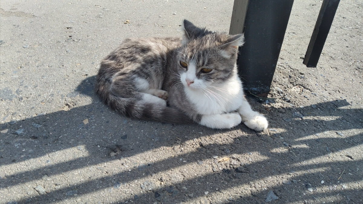 Администратор в парке)