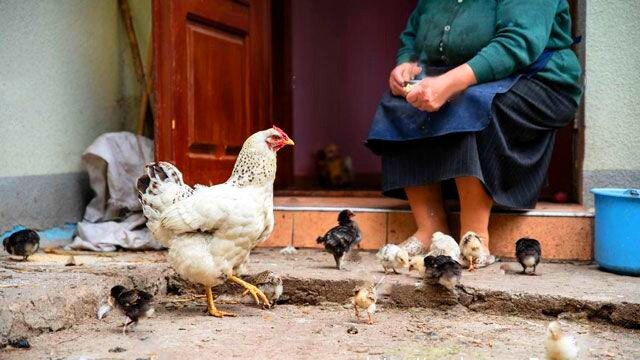 Никогда не верьте тем, кто пытается вам доказать, что в этой жизни нет места чуду.  Нас частенько пытаются обмануть, но все же нужно верить в людей и по возможности помогать им.-2