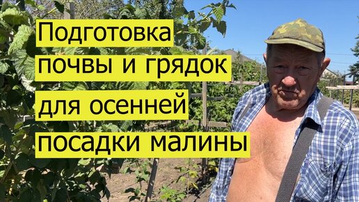 Подготовка почвы и грядок для осенней посадки малины