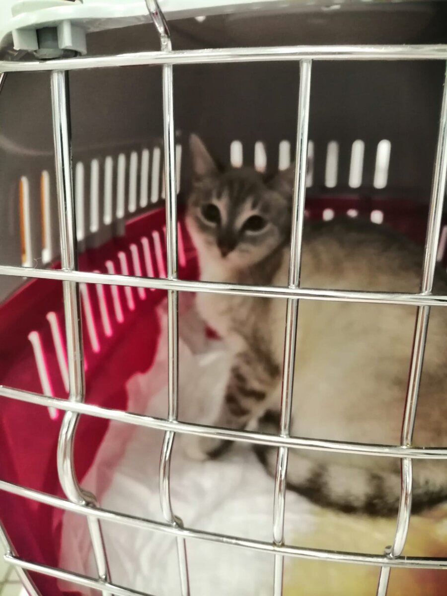 мы едем в клинику