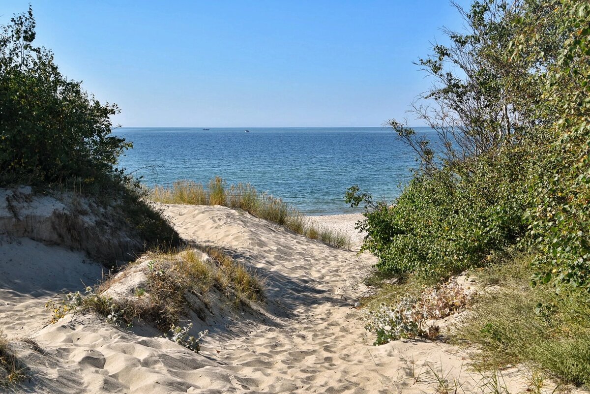 Балтийская коса. Калининградская область в августе