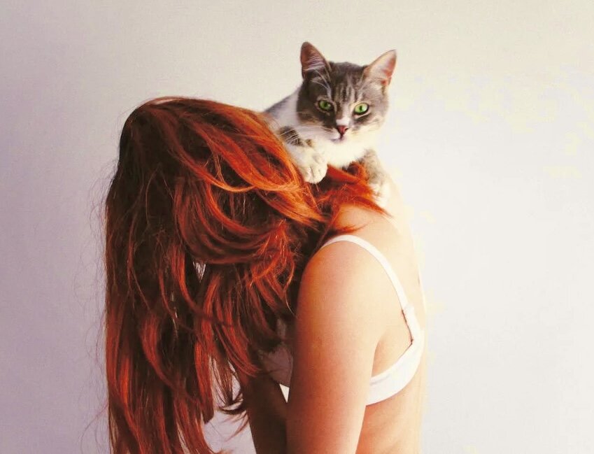 (Через много лет...) фото взяты из свободного доступа интернета