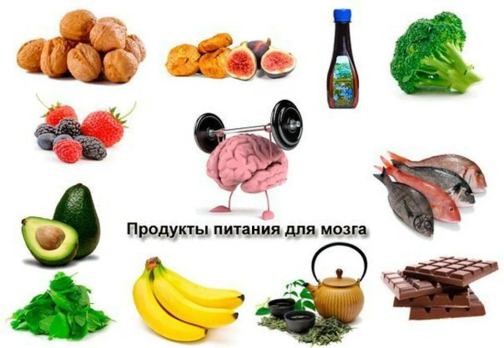 Продукты полезные для мозга и улучшающие его деятельность