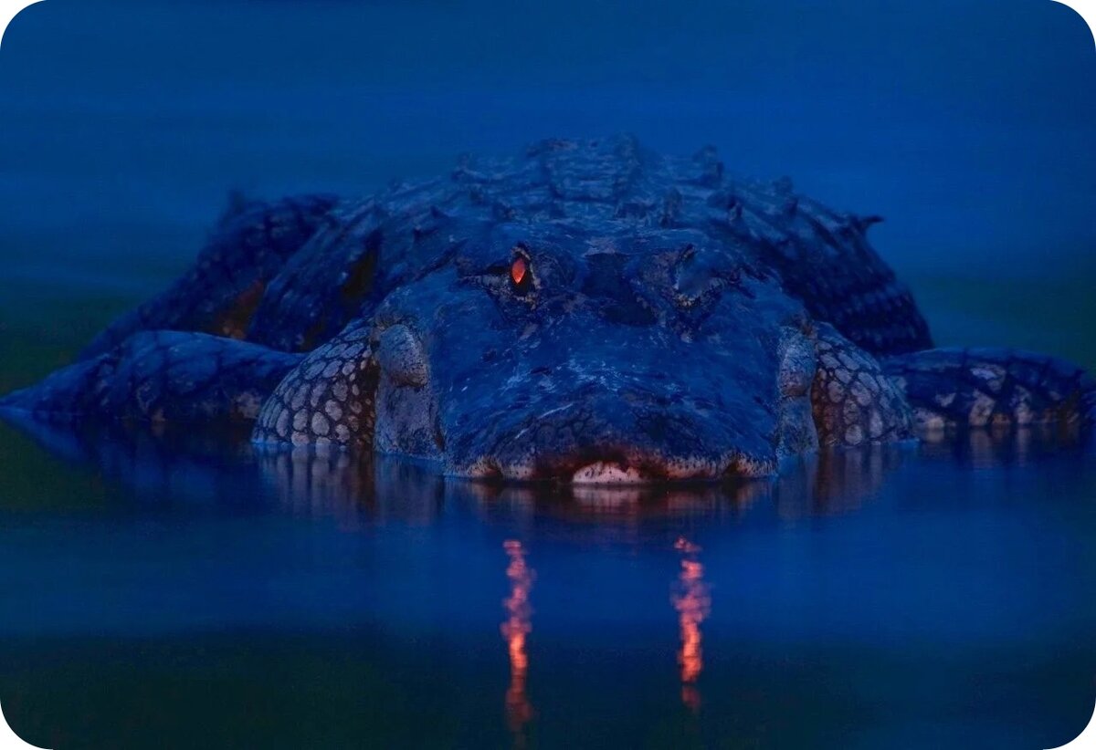 Картинки Яндекс, обработка автора