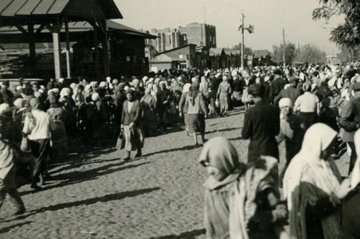    «После «донорства» нас увозили в ящиках».