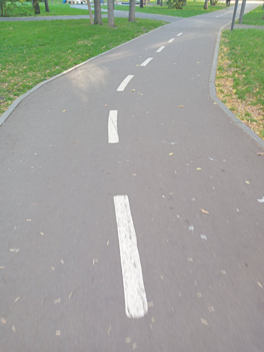 Дорожка с разметкой