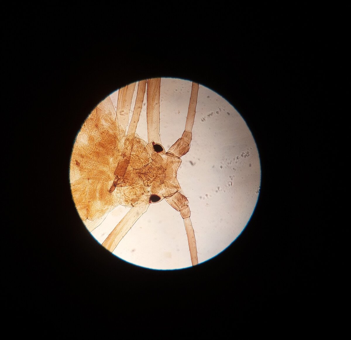 Авторское фото от канала "Ветер в книгах"