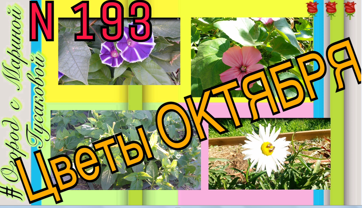 ССЫЛКА: https://www.youtube.com/watch?v=lR1yE-kIGQE