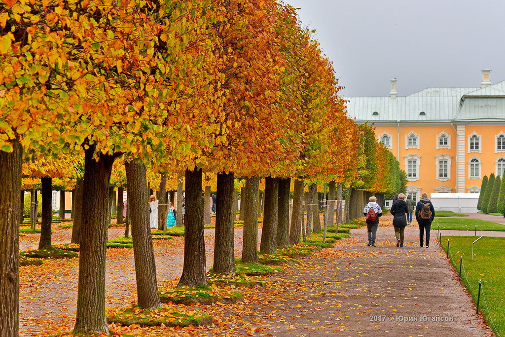 Петергоф осень