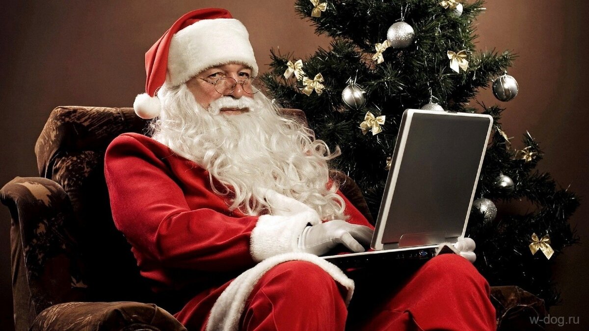 Источник: w-dog.ru