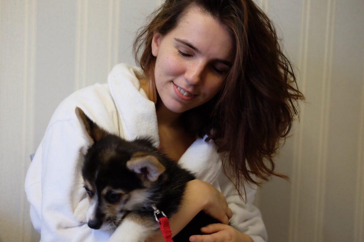 Я Аня, у меня щенок корги, 2,5 месяца. Элли очень активная. Квартира пока цела