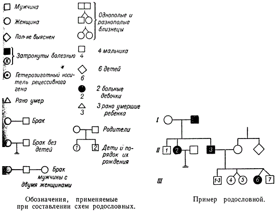 Соревнованиям нейронных сетей