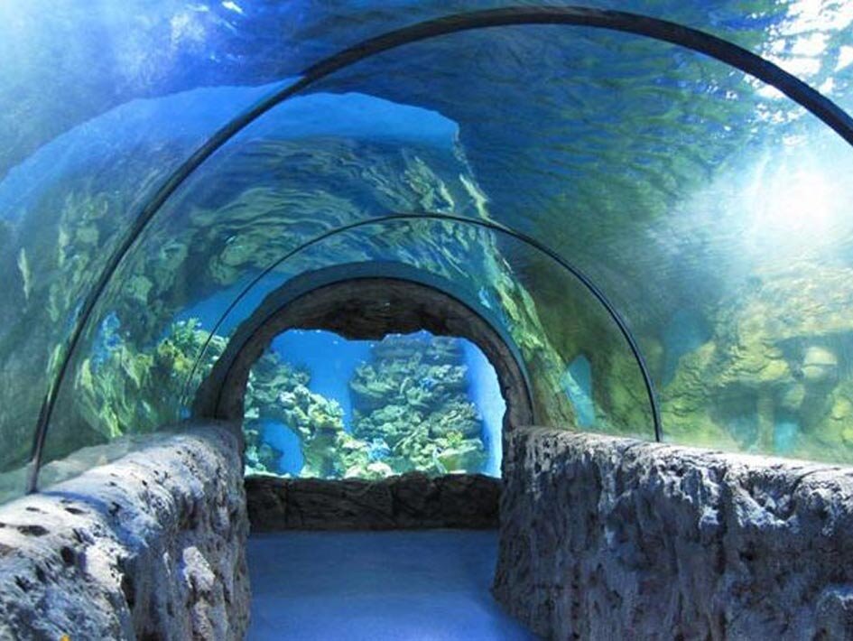 кейптаун аквариум. океанариум батискаф анапа. аквариум двух океанов юар. океанариум в москве на дмитровском шоссе. Moskve okeanarium океанариум в москве.