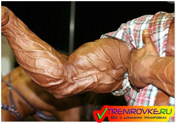 Для чего нужен глютамин