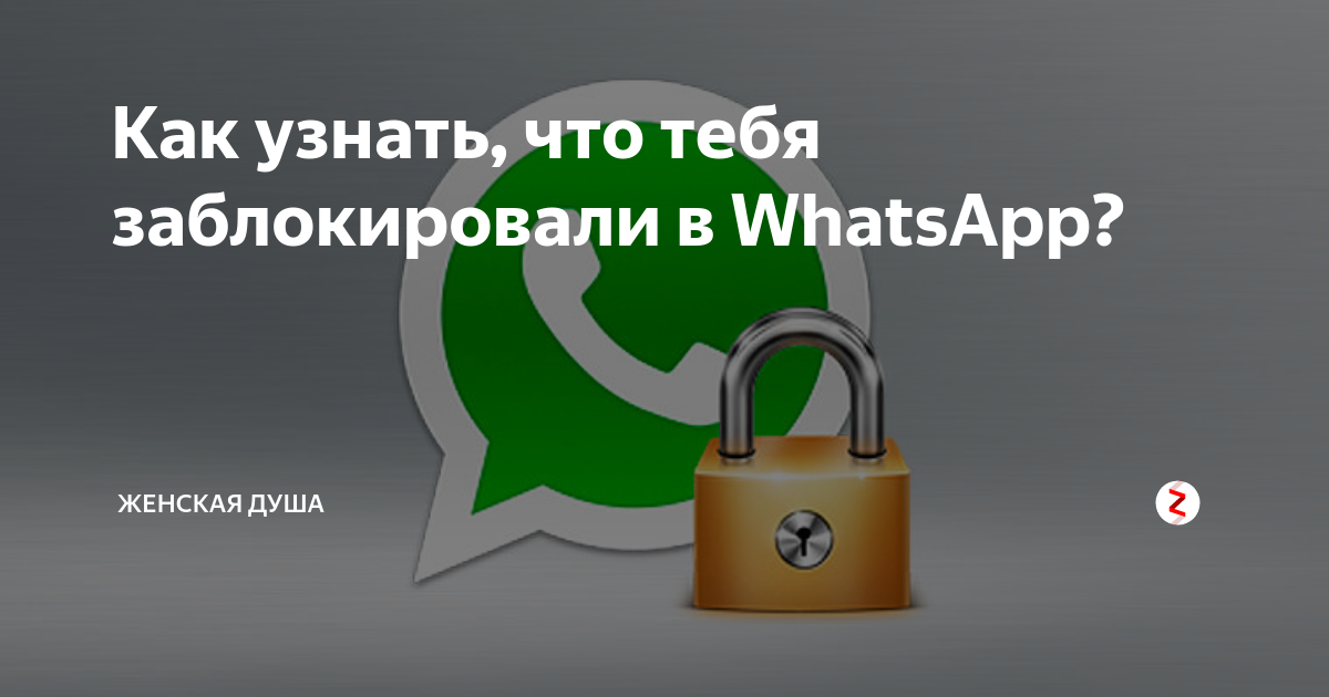 Как понять что тебя заблокировали в WHATSAPP. Как понять то что тебя заблокировали в ватсапе. Как понять что тебя заблочили в ватсапе. Как понять что человек заблокировал тебя в ватсапе.