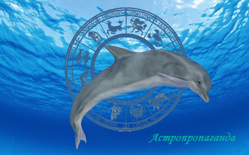 Коллаж Нины Стрелковой для канала «Астропропаганда». 