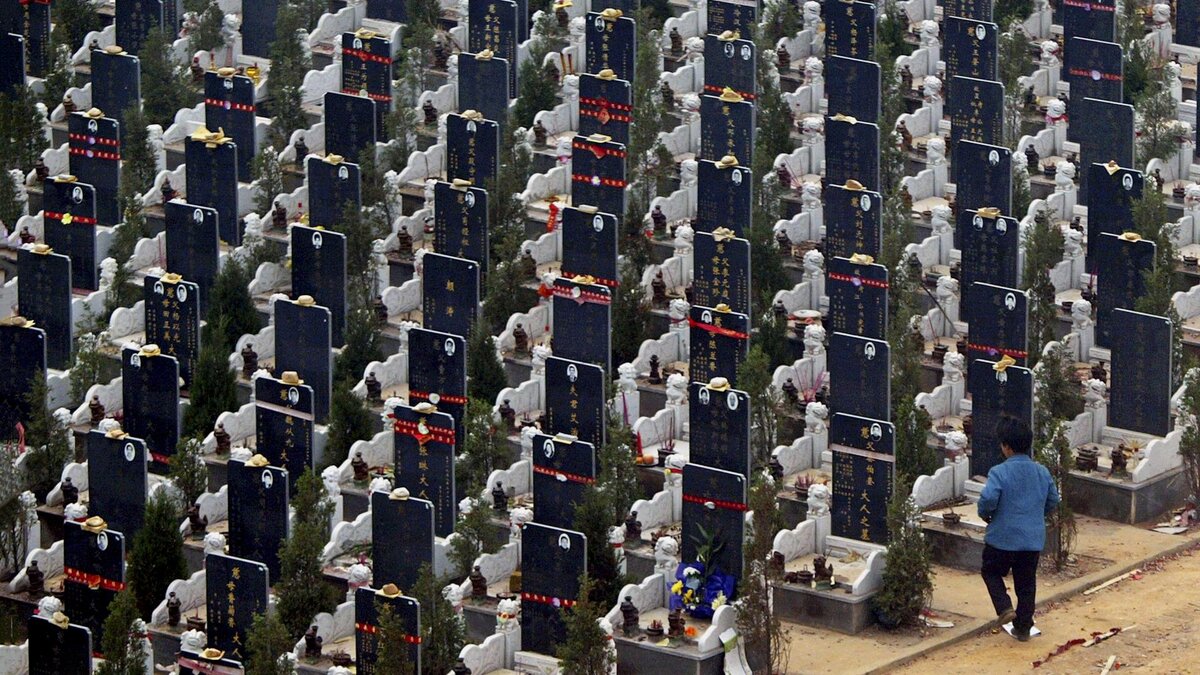 Фото: Getty Images/Wang Yaowu/VCG 