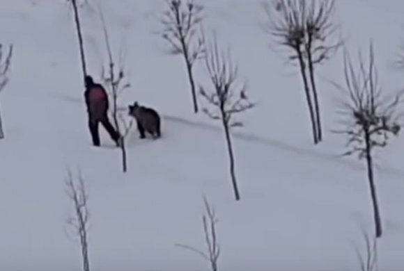 Скриншот видео Youtub