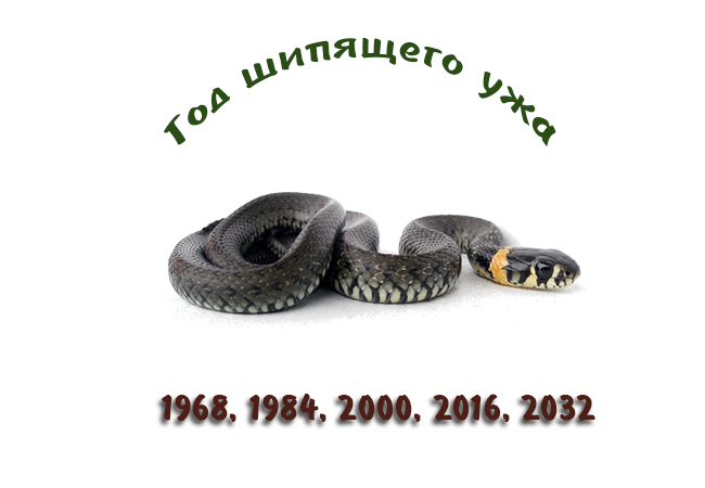 тёмный сох по славянскому календарю. год шипящего ужа. тотем змея. прядущий мизгирь. шипящий уж по славянскому.