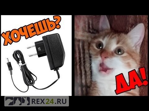 Фото: pikabu