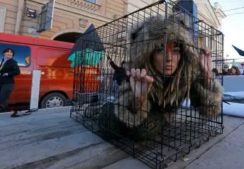 Активисты по защите прав животных в России.