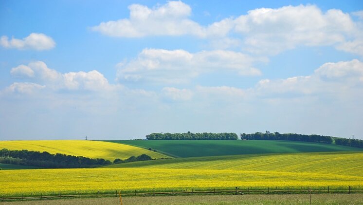 Фото: Sirje S/Flickr