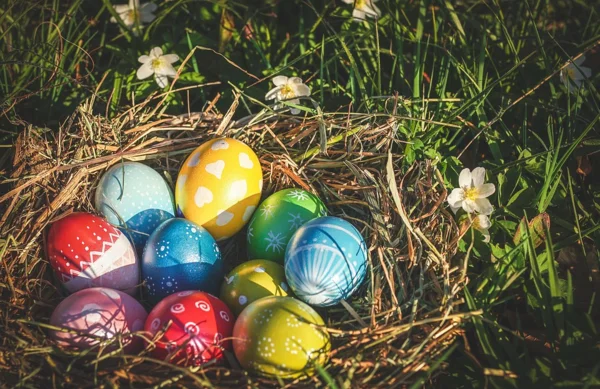 Фото: https://pixabay.com
