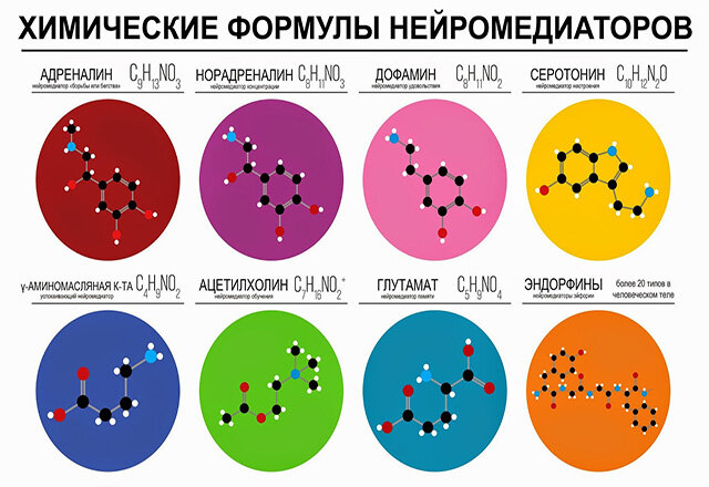 Нейромедиаторы