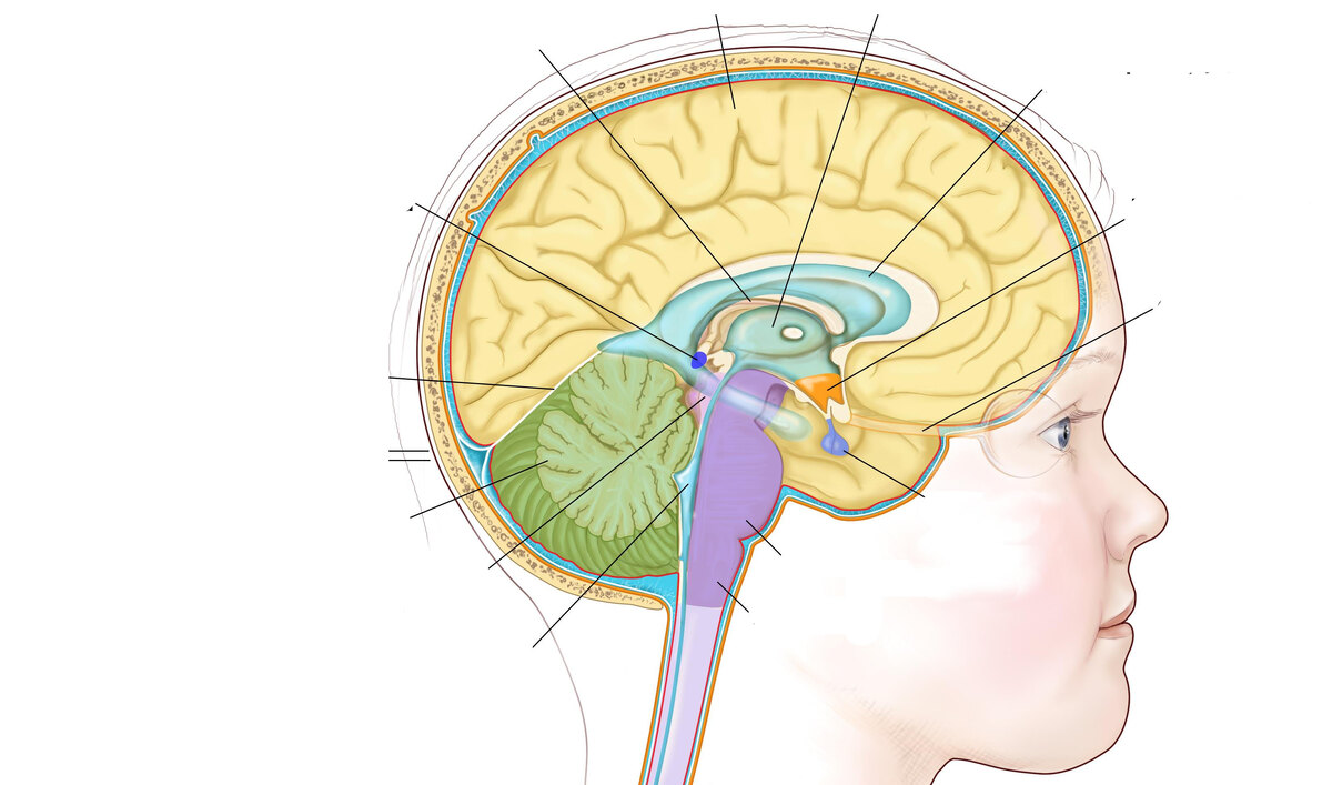 Здесь специально убраны лишние надписи, чтобы вас не отвлекать.