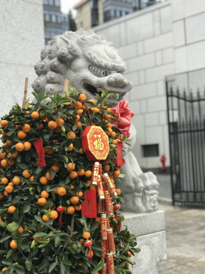 Вот такие парные красавчики  нередко украшают ворота, а также главные двери в банки, рестораны, гостиницы и прочие присутственные места. В частных домах их тоже любят ставить. В качестве охранников и привлекая удачу. А на данном фото наблюдаем три знаковых культурных явления разом: и львиного красавца на воротах (его собрат стоит с другой стороны ворот и в кадр не влез), и предновогодние мандаринки (в китайском языке слово "мандарин" на слух напоминает слово "деньги", и потому каждый новый год все дружно скупают мандариновые деревья, как мы скупаем ёлки), и иероглиф "фу", он же "счастье", перевёрнутый вверх ногами, что, опять же, созвучно выражению "счастье пришло". В общем, и денег всем, и счастья, и грозных защитников, чтоб никто ваши сокровища не утащил. 