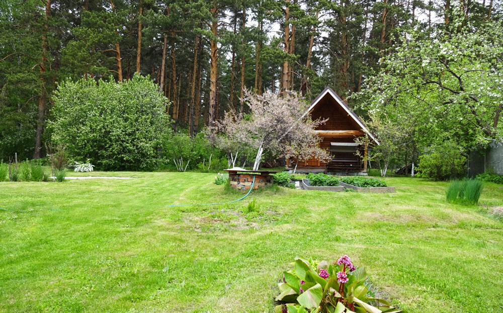 Наши Земляничные Поляны. Вон там, вдалеке, видите три грядки? Это наш огород