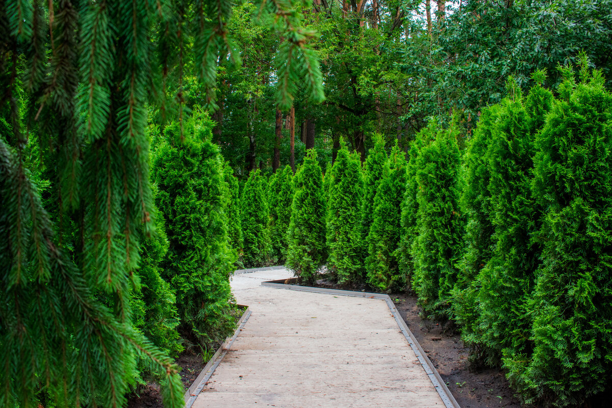 Фото из архива компании Primula