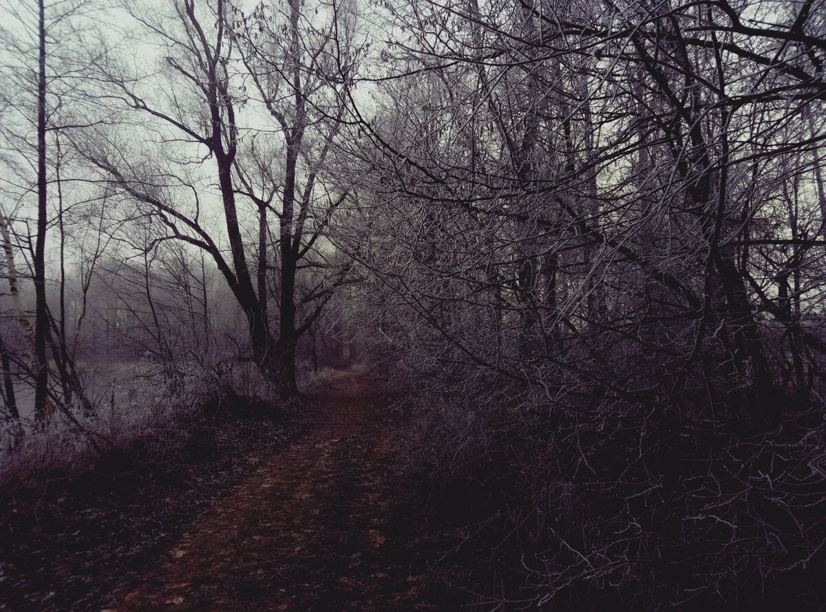 Все фотографии, которые здесь представлены я делал сам, и они служат фоном для разбавления текста. Ну и чтобы кто-нибудь оценил мои творческие порывы в фото=)