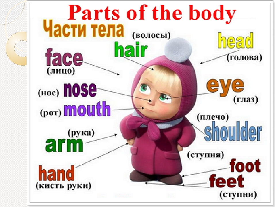 Части тела на английском. Части тела на английском для детей. Части тела на английск. Части тела н анашлийском.