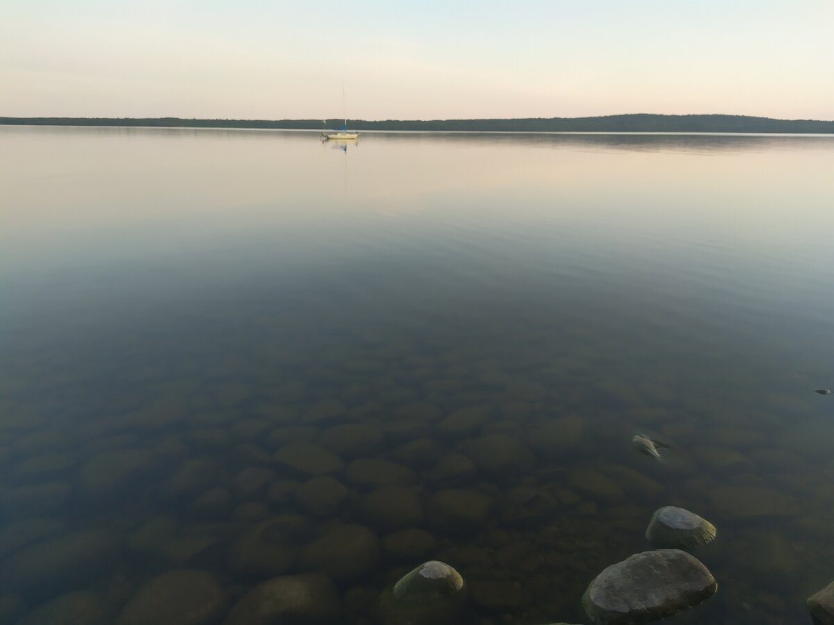 Озеро Свирь. Озеро Свирь Беларусь. Свирь рыбалка. Река Свирь рыбалка. Свирь онежское озеро
